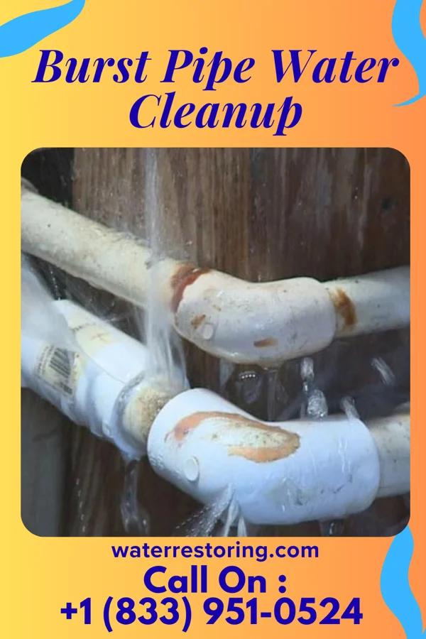 Burst Pipe Water Cleanup in Kutztown University, PA