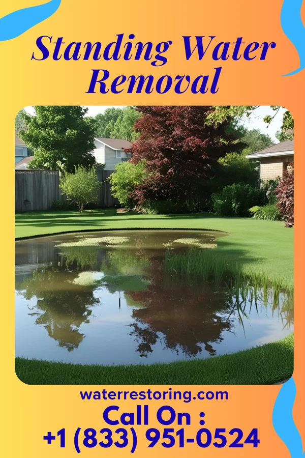 Standing Water Removal in Kutztown University, PA